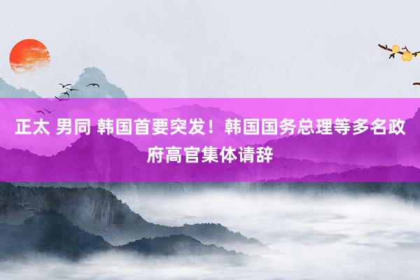 正太 男同 韩国首要突发！韩国国务总理等多名政府高官集体请辞