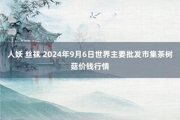 人妖 丝袜 2024年9月6日世界主要批发市集茶树菇价钱行情