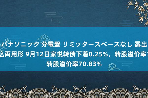 パナソニック 分電盤 リミッタースペースなし 露出・半埋込両用形 9月12日家悦转债下落0.25%，转股溢价率70.83%