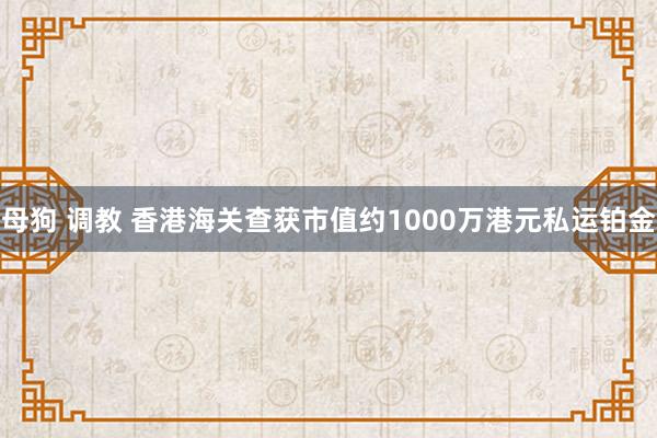 母狗 调教 香港海关查获市值约1000万港元私运铂金