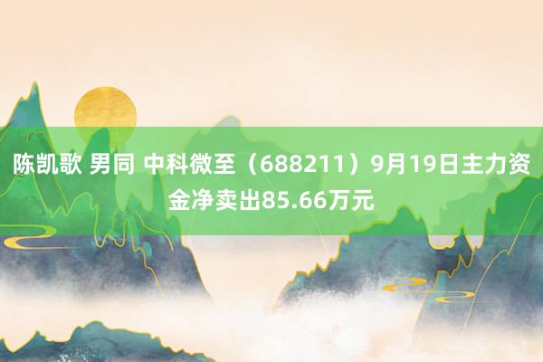 陈凯歌 男同 中科微至（688211）9月19日主力资金净卖出85.66万元