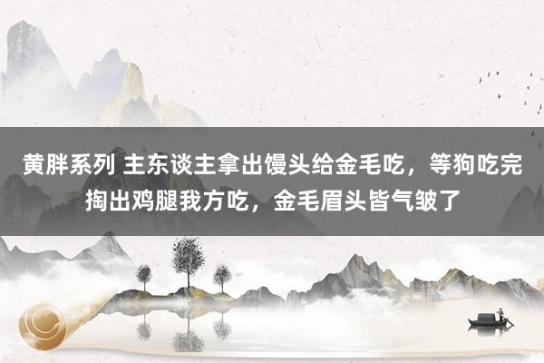 黄胖系列 主东谈主拿出馒头给金毛吃，等狗吃完掏出鸡腿我方吃，金毛眉头皆气皱了