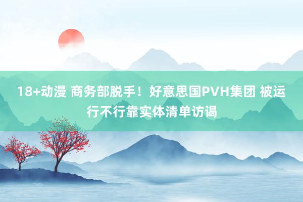 18+动漫 商务部脱手！好意思国PVH集团 被运行不行靠实体清单访谒