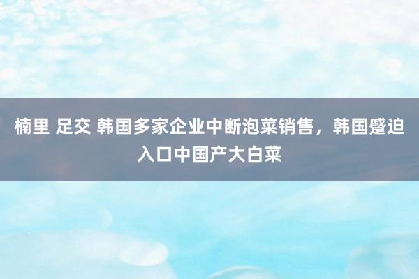 楠里 足交 韩国多家企业中断泡菜销售，韩国蹙迫入口中国产大白菜