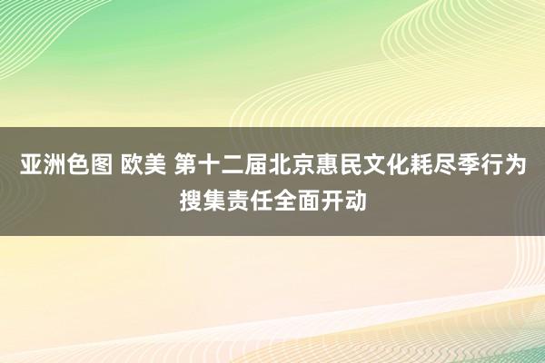 亚洲色图 欧美 第十二届北京惠民文化耗尽季行为搜集责任全面开动