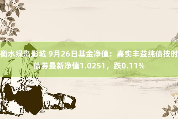 衡水绿岛影城 9月26日基金净值：嘉实丰益纯债按时债券最新净值1.0251，跌0.11%