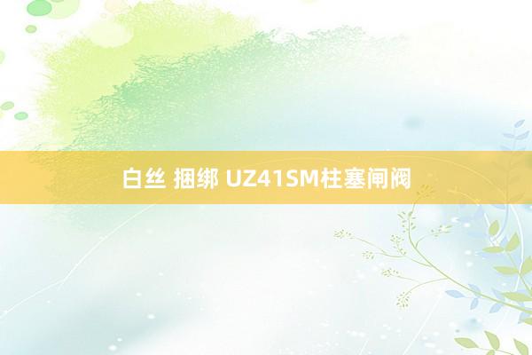 白丝 捆绑 UZ41SM柱塞闸阀