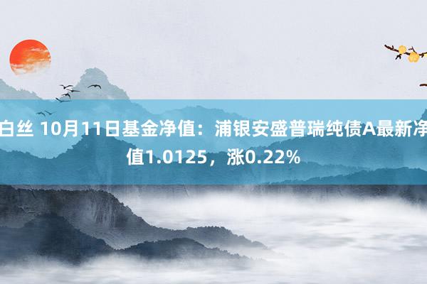 白丝 10月11日基金净值：浦银安盛普瑞纯债A最新净值1.0125，涨0.22%