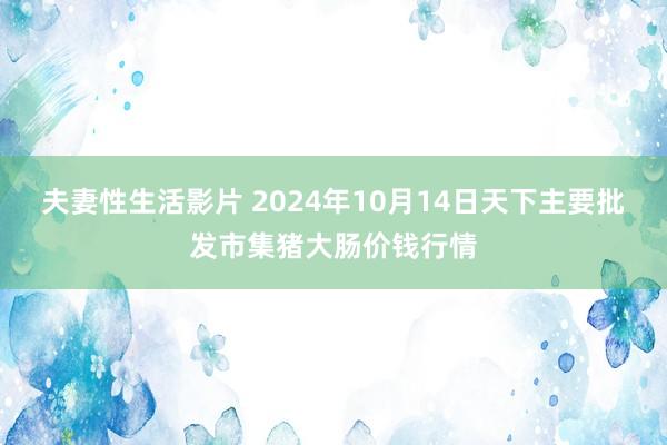 夫妻性生活影片 2024年10月14日天下主要批发市集猪大肠价钱行情