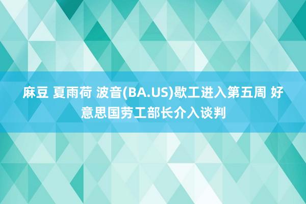 麻豆 夏雨荷 波音(BA.US)歇工进入第五周 好意思国劳工部长介入谈判