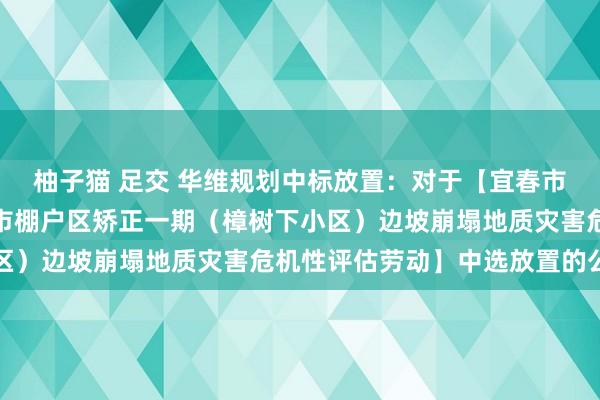 柚子猫 足交 华维规划中标放置：对于【宜春市宜阳西大路沿线片区城市棚户区矫正一期（樟树下小区）边坡崩塌地质灾害危机性评估劳动】中选放置的公告