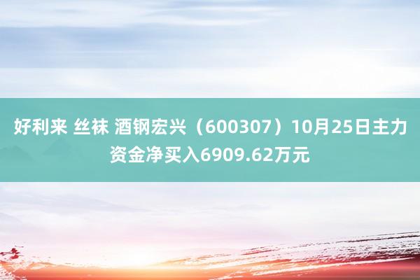 好利来 丝袜 酒钢宏兴（600307）10月25日主力资金净买入6909.62万元