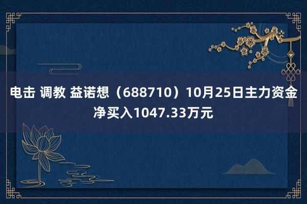 电击 调教 益诺想（688710）10月25日主力资金净买入1047.33万元