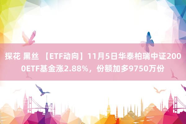 探花 黑丝 【ETF动向】11月5日华泰柏瑞中证2000ETF基金涨2.88%，份额加多9750万份