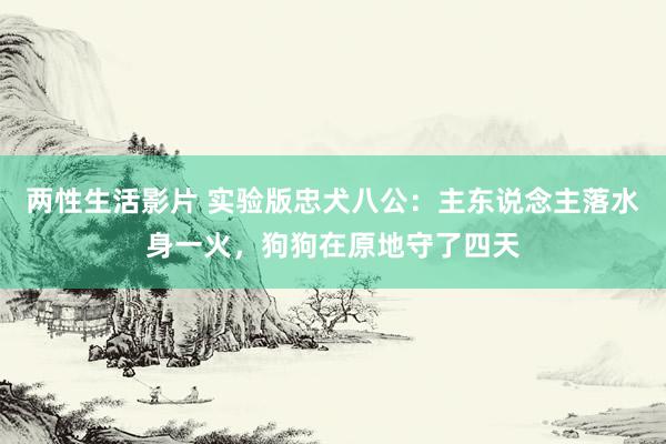 两性生活影片 实验版忠犬八公：主东说念主落水身一火，狗狗在原地守了四天