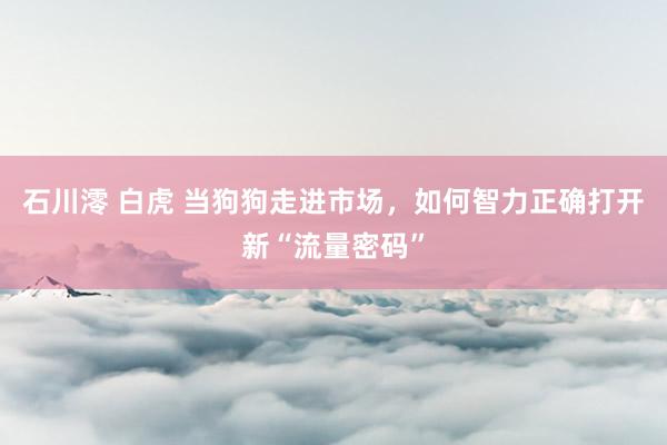 石川澪 白虎 当狗狗走进市场，如何智力正确打开新“流量密码”