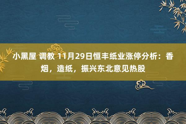 小黑屋 调教 11月29日恒丰纸业涨停分析：香烟，造纸，振兴东北意见热股