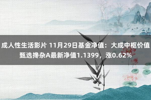 成人性生活影片 11月29日基金净值：大成中枢价值甄选搀杂A最新净值1.1399，涨0.62%