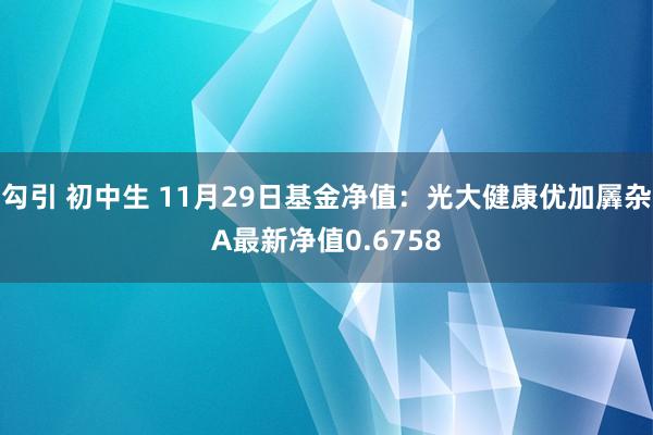 勾引 初中生 11月29日基金净值：光大健康优加羼杂A最新净值0.6758