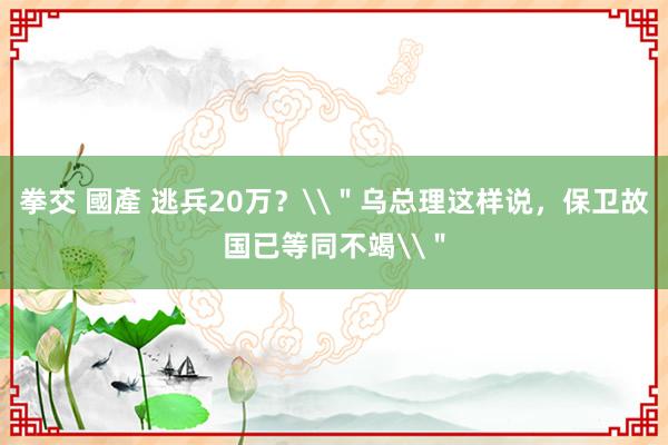 拳交 國產 逃兵20万？\＂乌总理这样说，保卫故国已等同不竭\＂