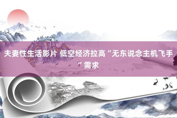 夫妻性生活影片 低空经济拉高“无东说念主机飞手”需求