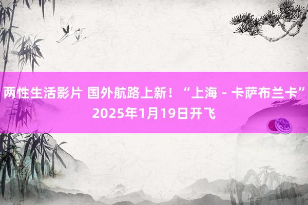 两性生活影片 国外航路上新！“上海－卡萨布兰卡”2025年1月19日开飞