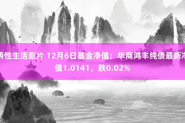 两性生活影片 12月6日基金净值：华商鸿丰纯债最新净值1.0141，跌0.02%