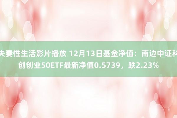 夫妻性生活影片播放 12月13日基金净值：南边中证科创创业50ETF最新净值0.5739，跌2.23%