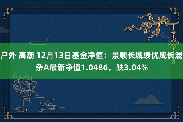 户外 高潮 12月13日基金净值：景顺长城绩优成长混杂A最新净值1.0486，跌3.04%