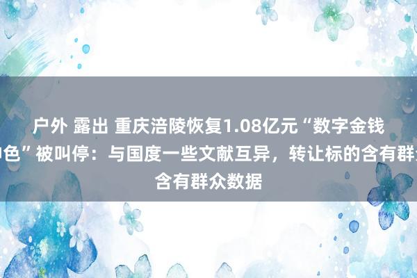 户外 露出 重庆涪陵恢复1.08亿元“数字金钱转让神色”被叫停：与国度一些文献互异，转让标的含有群众数据