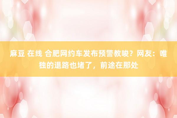 麻豆 在线 合肥网约车发布预警教唆？网友：唯独的退路也堵了，前途在那处