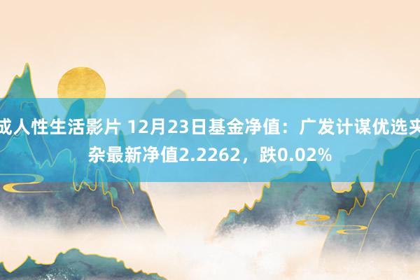 成人性生活影片 12月23日基金净值：广发计谋优选夹杂最新净值2.2262，跌0.02%