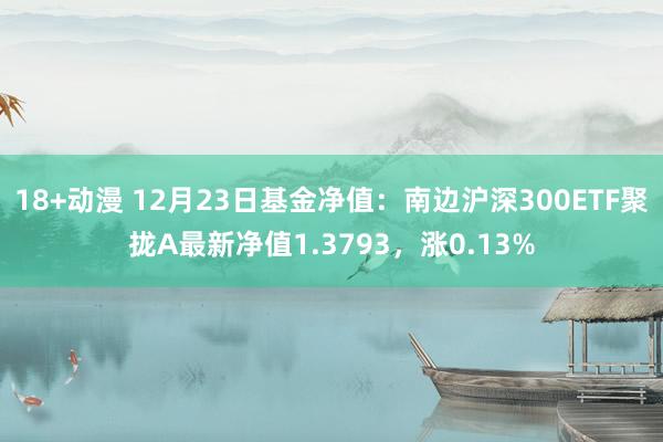 18+动漫 12月23日基金净值：南边沪深300ETF聚拢A最新净值1.3793，涨0.13%