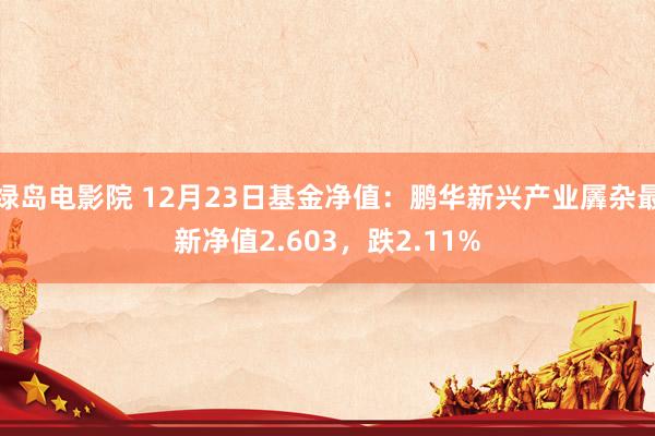 绿岛电影院 12月23日基金净值：鹏华新兴产业羼杂最新净值2.603，跌2.11%