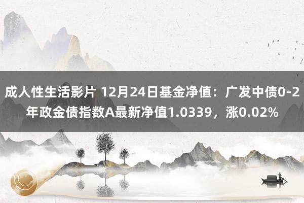 成人性生活影片 12月24日基金净值：广发中债0-2年政金债指数A最新净值1.0339，涨0.02%