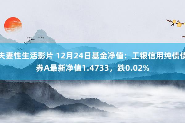 夫妻性生活影片 12月24日基金净值：工银信用纯债债券A最新净值1.4733，跌0.02%