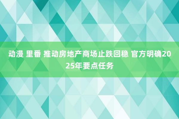 动漫 里番 推动房地产商场止跌回稳 官方明确2025年要点任务