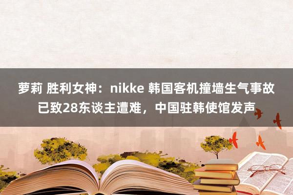 萝莉 胜利女神：nikke 韩国客机撞墙生气事故已致28东谈主遭难，中国驻韩使馆发声