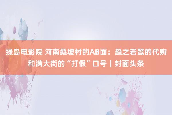 绿岛电影院 河南桑坡村的AB面：趋之若鹜的代购和满大街的“打假”口号｜封面头条