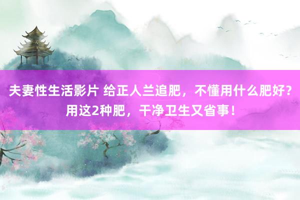 夫妻性生活影片 给正人兰追肥，不懂用什么肥好？用这2种肥，干净卫生又省事！