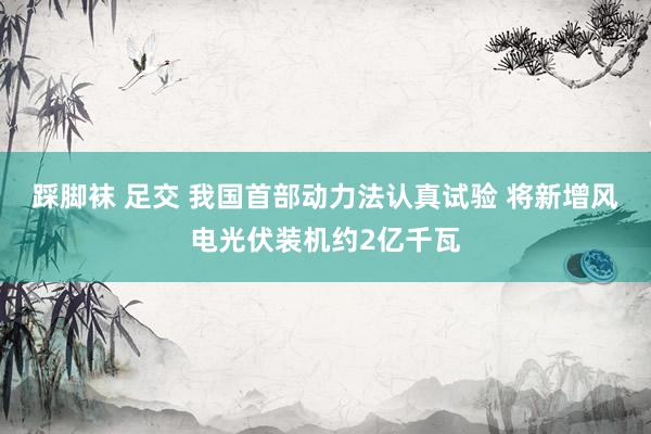 踩脚袜 足交 我国首部动力法认真试验 将新增风电光伏装机约2亿千瓦