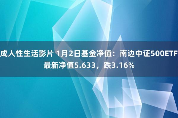 成人性生活影片 1月2日基金净值：南边中证500ETF最新净值5.633，跌3.16%