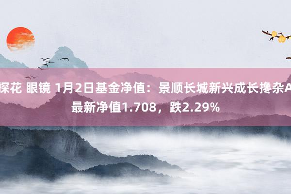 探花 眼镜 1月2日基金净值：景顺长城新兴成长搀杂A最新净值1.708，跌2.29%