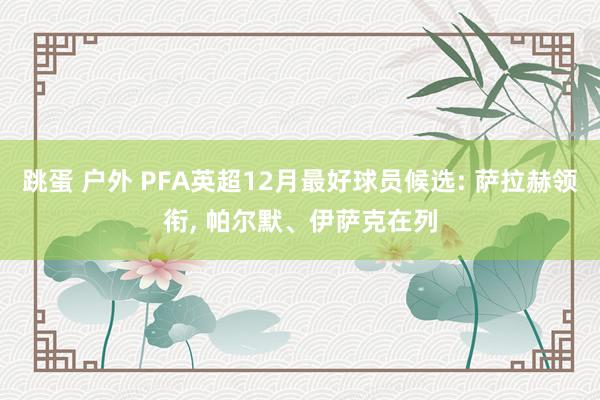 跳蛋 户外 PFA英超12月最好球员候选: 萨拉赫领衔， 帕尔默、伊萨克在列