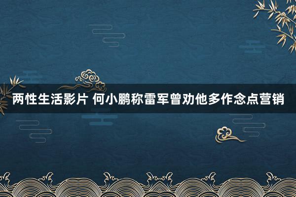 两性生活影片 何小鹏称雷军曾劝他多作念点营销