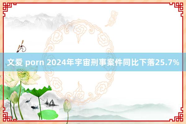 文爱 porn 2024年宇宙刑事案件同比下落25.7%