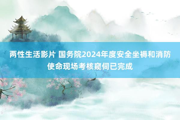 两性生活影片 国务院2024年度安全坐褥和消防使命现场考核窥伺已完成