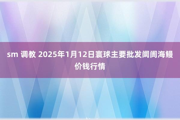 sm 调教 2025年1月12日寰球主要批发阛阓海鳗价钱行情